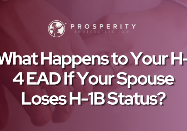 What Happens to Your H-4 EAD If Your Spouse Loses H-1B Status?- Prosperity Immigration Law